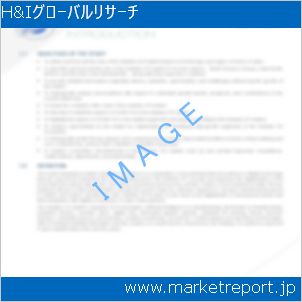 市場と産業調査レポートのイメージ